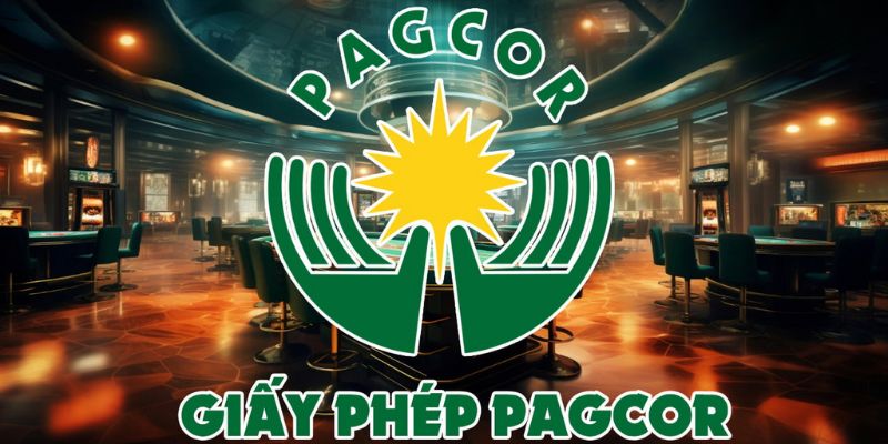 Chứng chỉ PAGCOR giúp Nohu thu hút đa dạng đối tượng khách hàng